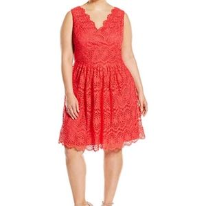 🎀🆕 Red Lace Adrianna Papell Eyelet Dress 22 Plus